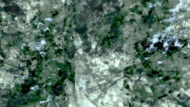 Erased Gavotte | Palimpsest смотреть онлайн