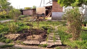 "3 грядки на 6 сотках-это не Кубань.Смешно"...Сколько земли было?Хватит ли у нас сил на эти 6 соток