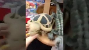 Игрушки HANSA Ханса обзор в магазине Пчелка Petitangel