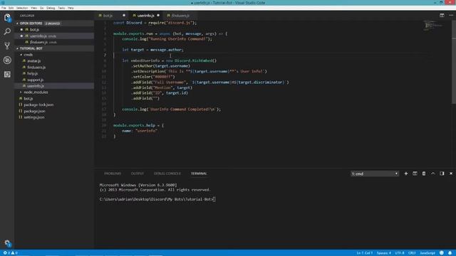 Discord Bot JavaScript: UserInfo Command And Where You Can Get Help Coding Your Bot - Episode 9