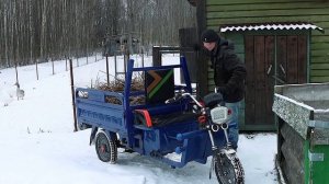 Рискуем здоровьем и электротранспортом ради убыточных гусей! Финстрип по заработку на гусях в 2022 г