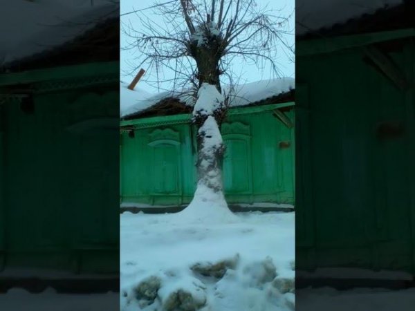 Крыша едет