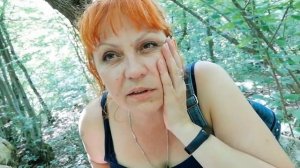 Отдых в горах. Лес.