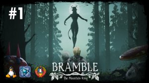 Проходим игру - Bramble: The mountain king Часть 1(#linux #portproton)