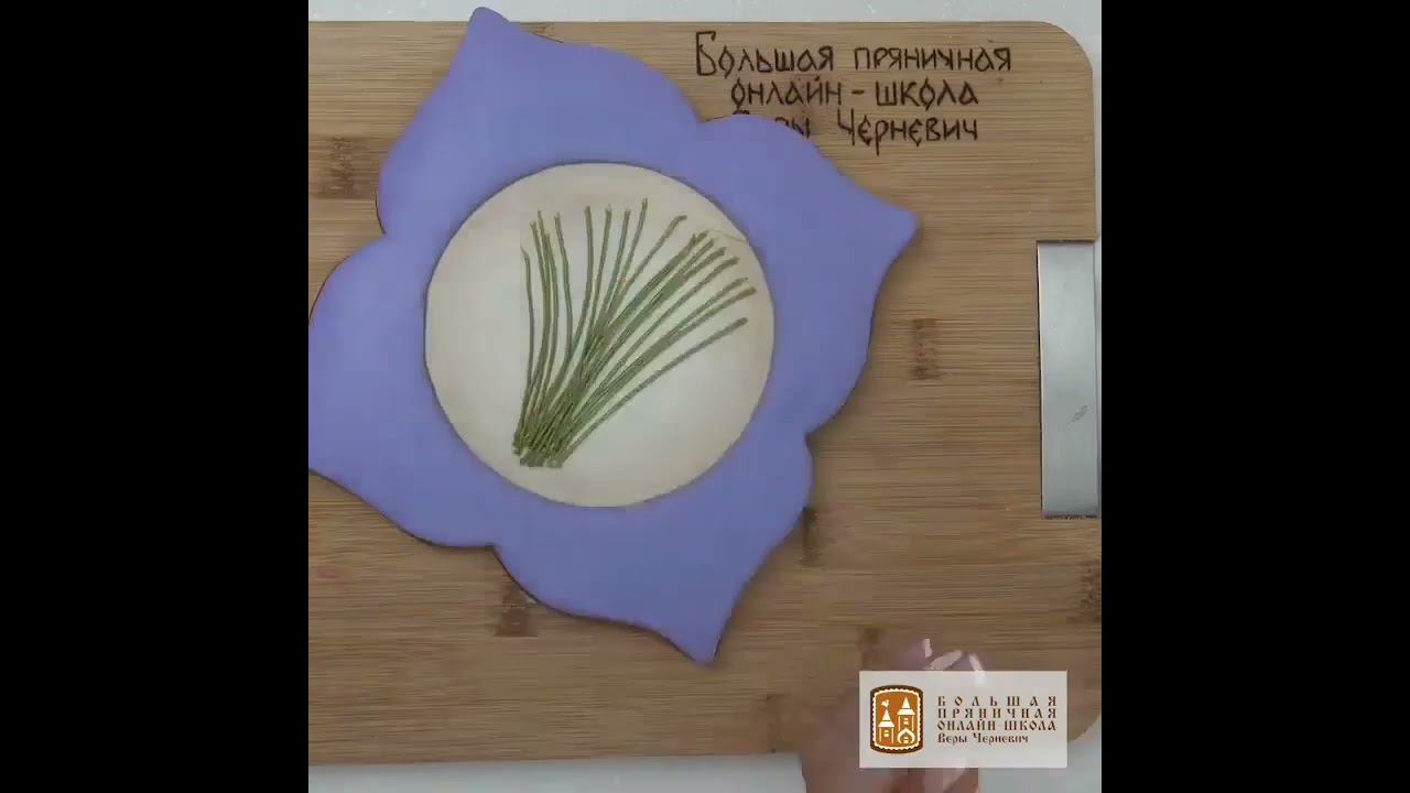 Фиолетовый, лавандовый, сиреневый.
