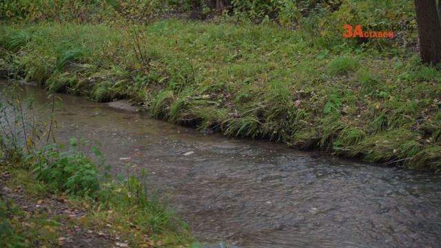 Благоустройство в парке «Сосенки» смотреть онлайн