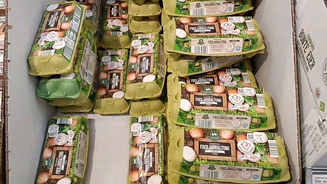 Поем целый день на 3 евро 💶 Украинские беженцы в Германии 2023 🇺🇦🇩🇪 смотреть онлайн