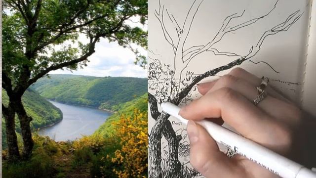 18 занятие. Графический пейзаж (продолжение) смотреть онлайн