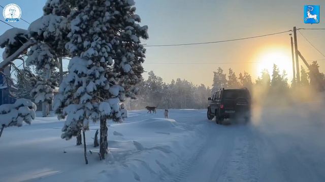 Межведомственная комиссия по правилам содержания домашних животных смотреть онлайн