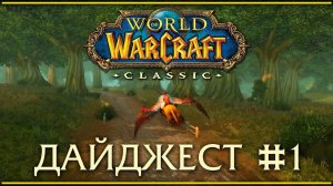 WoW Classic дайджест #1. Запуск игры, слои, пвп, мой личный прогресс.