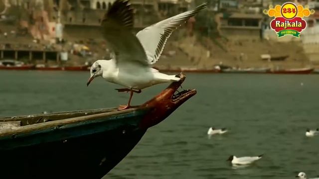 DATTA MAHARAJ MOST POWERFUL MANTRA FOR POSITIVE ENERGY FOR MOTIVATION смотреть онлайн