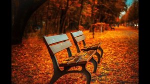 Льготные путёвки для военных и пенсионеров в санатории МО РФ