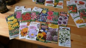 Что посеем на рассаду в феврале