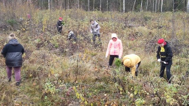 Агроуход в Ивановской области 7 октября 2023 года смотреть онлайн
