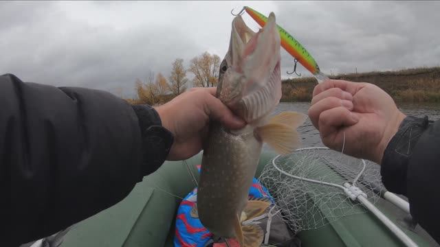 Ловля щуки в октябре смотреть онлайн