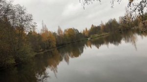 Мультипликаторная катушка Riobi Pluma.