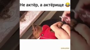 Не актёр, а актёрище