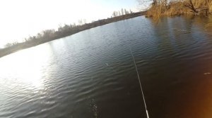 Херабуна не простая но уловистая снасть