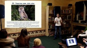 Зимующие птицы Уфы - Атлас птиц