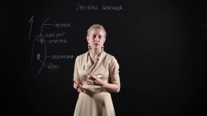 Биология 7 класс : Эвглена зеленая