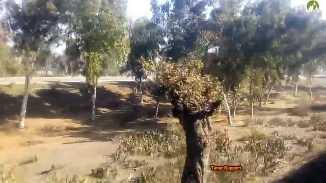 Pakistan Railway Journey Peshawar To Rawalpindi