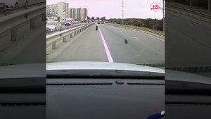 Ускакало колесо.