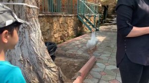 Санаторий Каспий