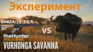 the hunter call of the wild охота на буйвола | Zarza 15 22LR