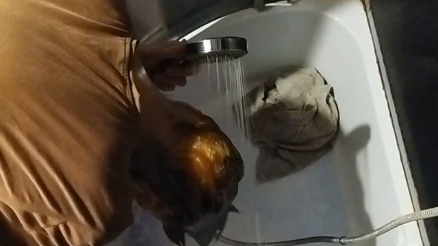 Крашу волосы в ЗЕЛЁНЫЙ дома