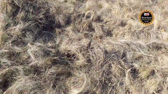 Самодельный лежачий скрадок для гусиной охоты. Весна 2020.