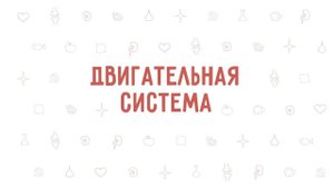 5. Двигательная система . Окружающий мир - 3 класс