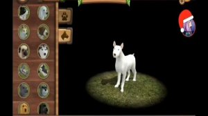 Что находится на втором этаже дома в игре Dog Sim online