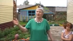 Летят "перелётные птицы" СИБИРЬ это СИЛА ??