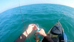 рыбалка в средиземном море 19.12.2020