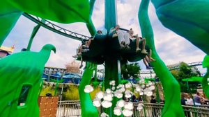 ДРИМВУД КРЫМ ЯЛТА