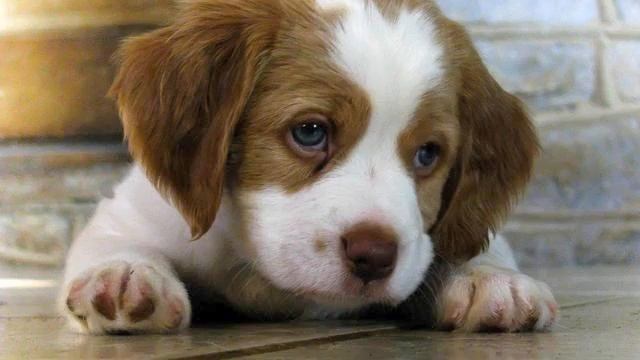 Музыка вместо гудков билайн. Действительно классная... смотреть онлайн