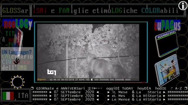 §.TG1/* CATTURATO L'ORSO M49 - LuneDì 07 settembre 2020 scapperà di nuovo la primula del Trentino смотреть онлайн