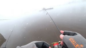 Рыбалка в Удомле. Тилапия на спиннинг, зимой.