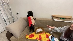 ВЛОГ Киру не выписали / Потолок почти готов и куча посылок пришло