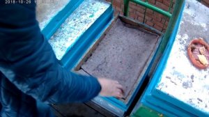 Гибель пчелосемьи от утепления в зимний период.Бипин-обработка пчел.Собрать гнездо пчел в зиму.