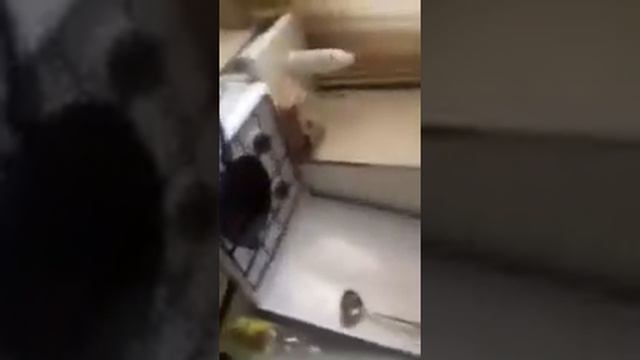 В раскалённую сковородку водой! Придурок
