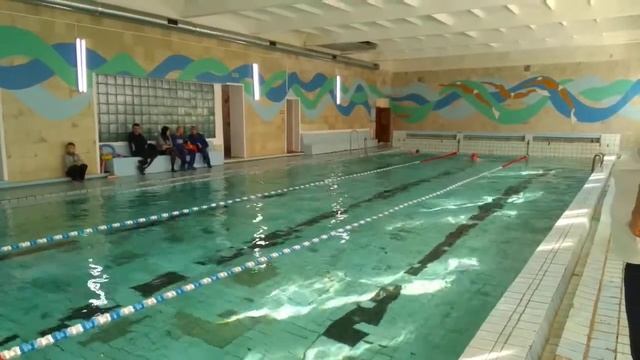 Соревнования по плаванию среди женщин смотреть онлайн