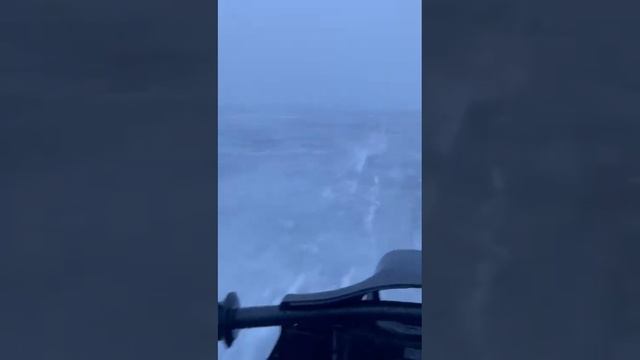 Горьковское море, 26 марта ,,док,,. Пегас и Рыбоход.