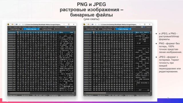 20230803_Расширение графических возможностей RAD Studio с помощью Skia4Delphi