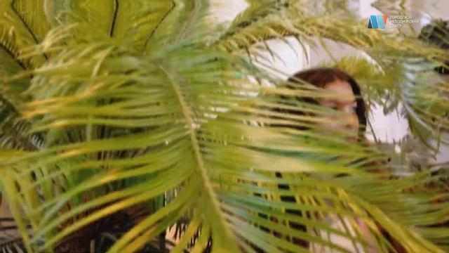 Проект "Щелчок". Дарья Урясьева. Секреты портретной фотосъемки смотреть онлайн