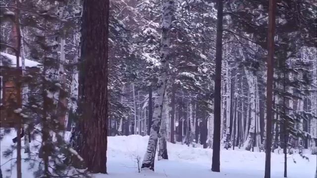 Сказочная "Ёлочка" зимой, почти как зимняя сказка! смотреть онлайн