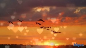 Мамы родные глаза.Лена Василёк гр.Белый день