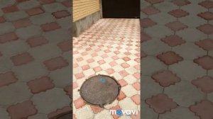 Тротуарная плитка во дворе. Укладка тротуарной плитки. Видео обзор до и после.