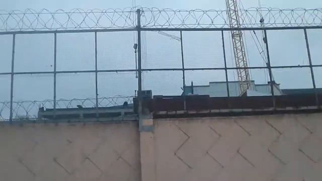 Гусеничный кран МКГ-25БР с БСО смотреть онлайн