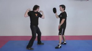 Secrets of Punching Power An Introduction to Power Mechanics